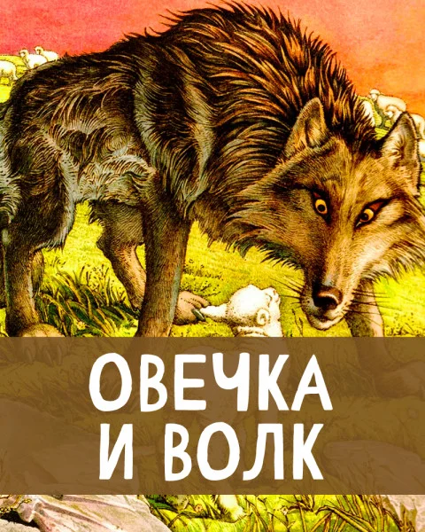 Овечка и волк