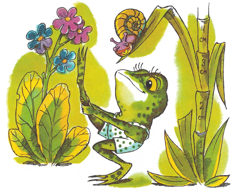 Маленький лягушонок