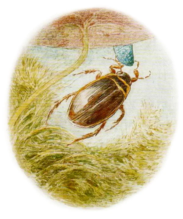 Коричневый жучок