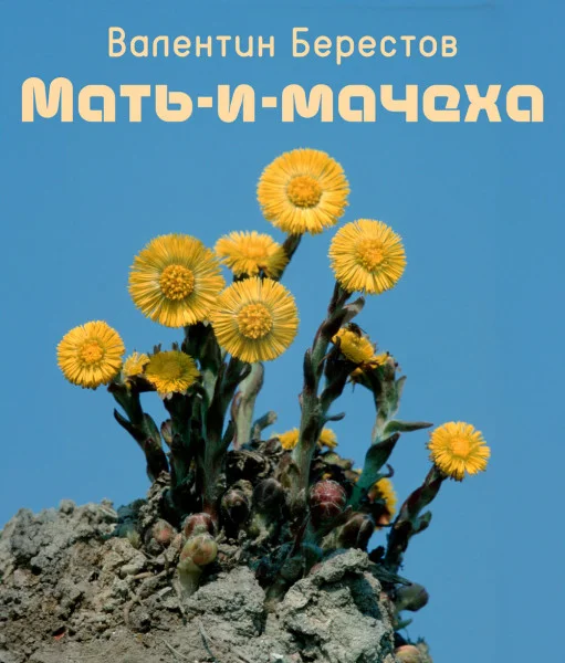 Мать-и-мачеха