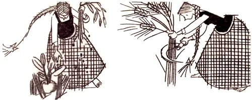 Девушка в поле