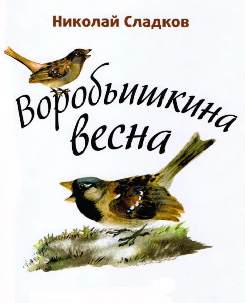 Воробьишкина весна