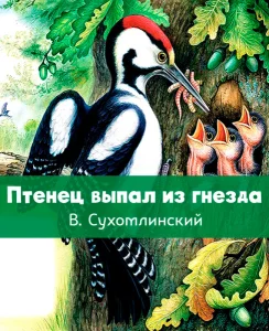 Птенец выпал из гнезда