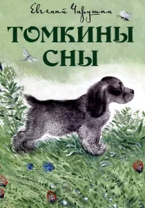 Томкины сны