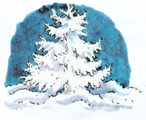 Зимняя ель