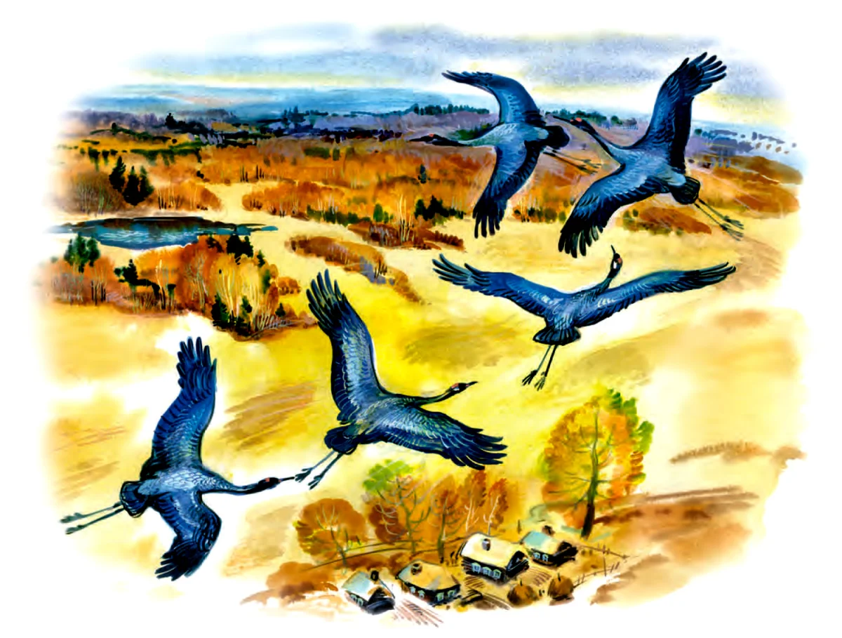 Журавли летят