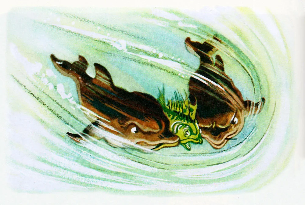 Дельфины схватили ерша