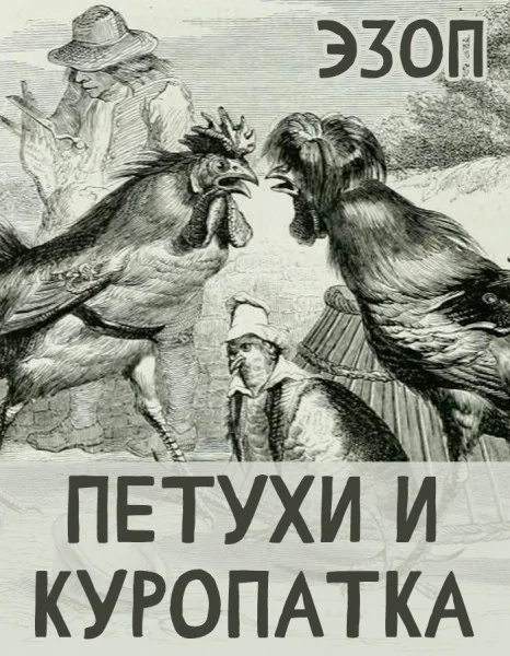 Петухи и Куропатка