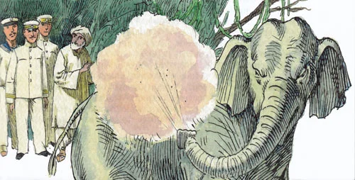 Слон на реке