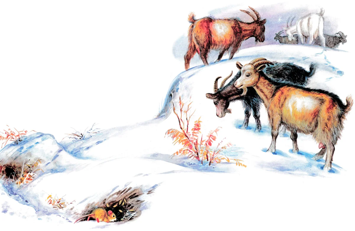 Козы и мышонок Пик