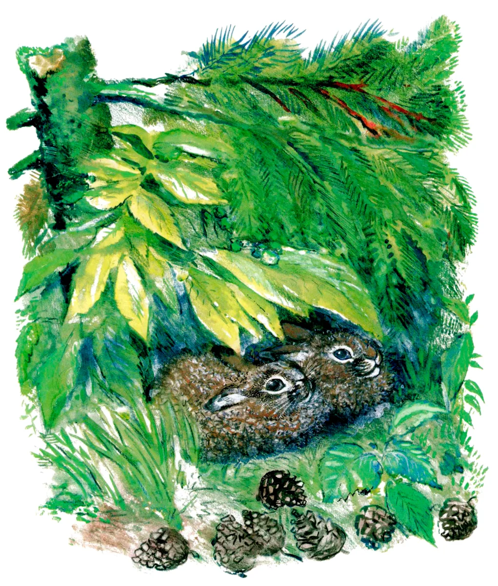 Зайчики в траве