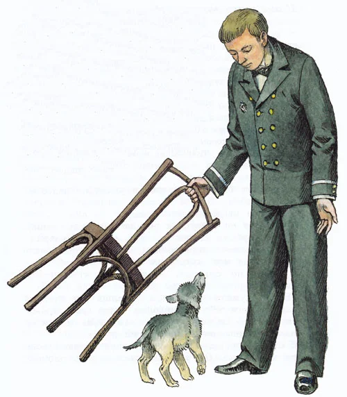 Маленький волчонок