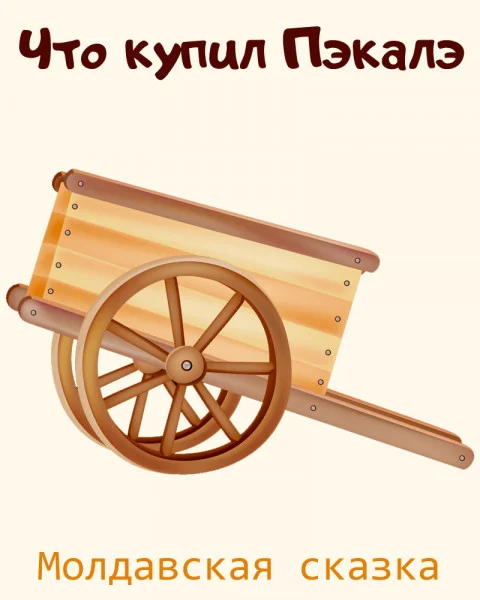 Что купил Пэкалэ