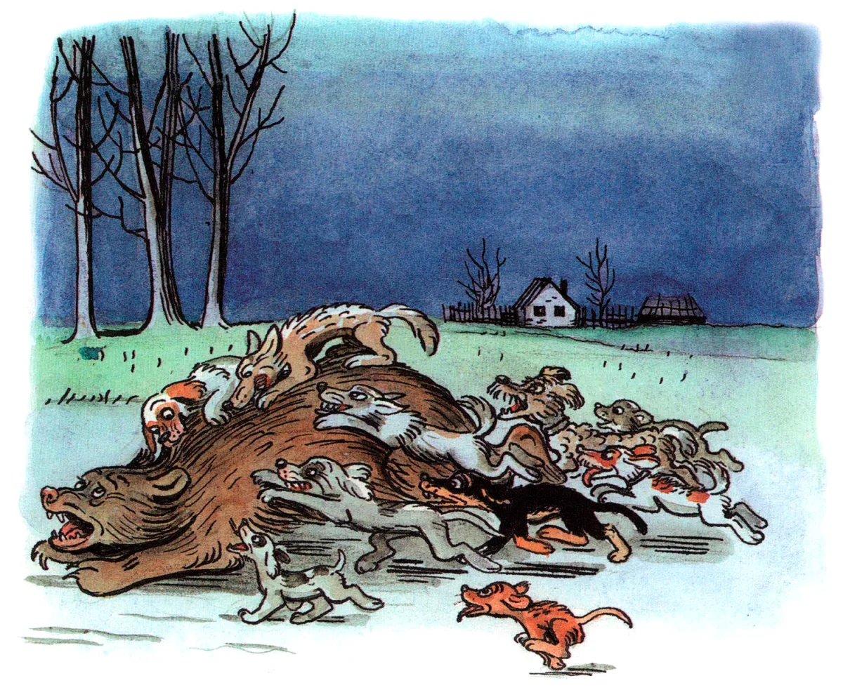 Собаки бегут за медведем