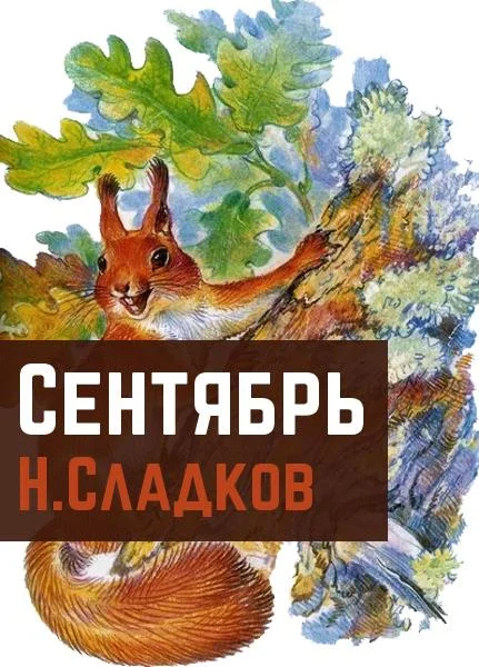 Сентябрь