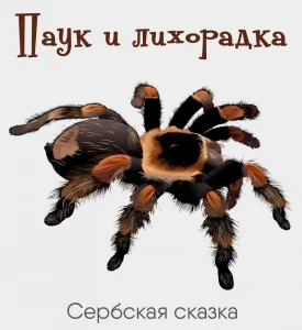 Паук и лихорадка