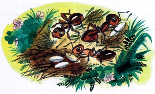 Сказка Жил-был Фип - фото 11