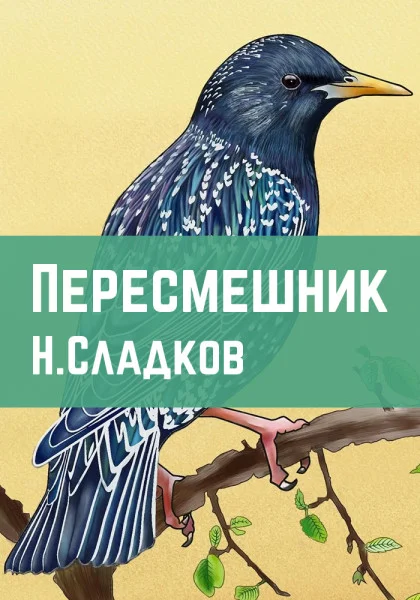 Пересмешник
