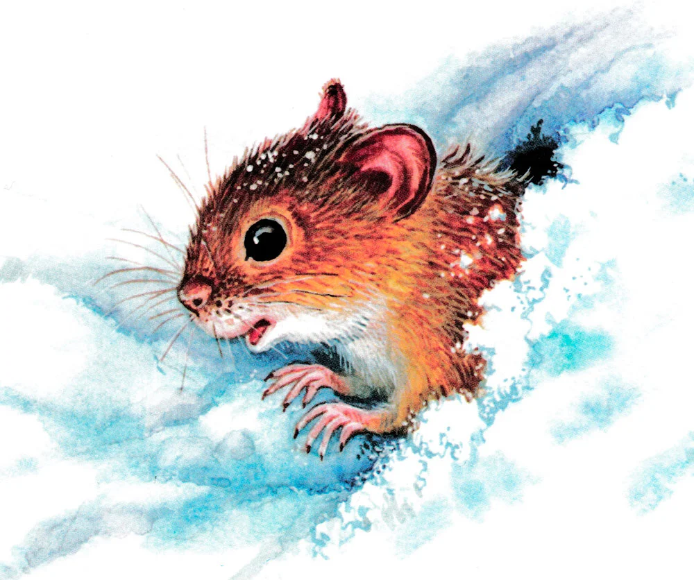 Мышонок пик на снегу