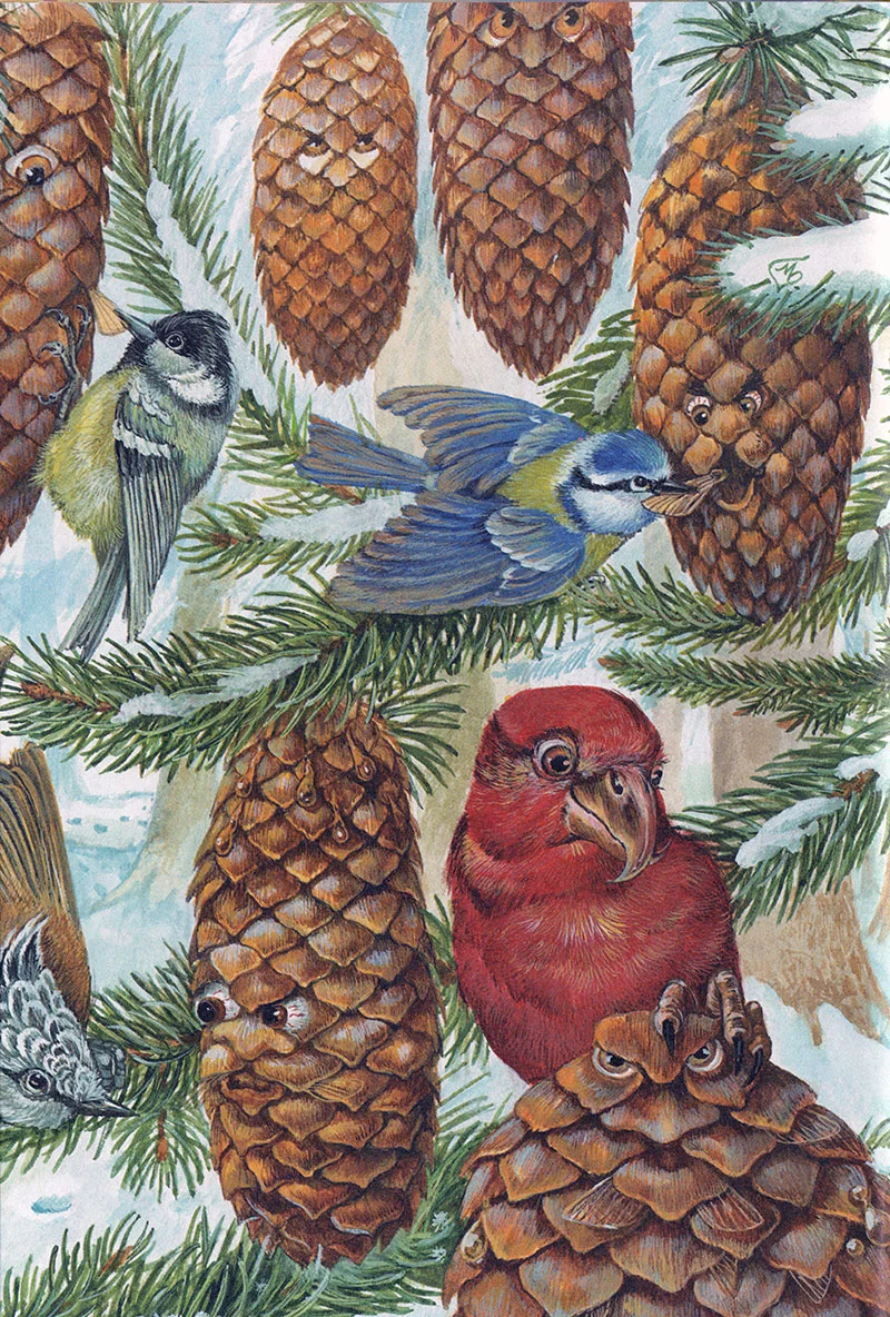 Еловые шишки