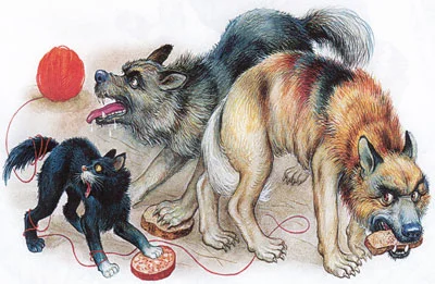 Собаки и кот