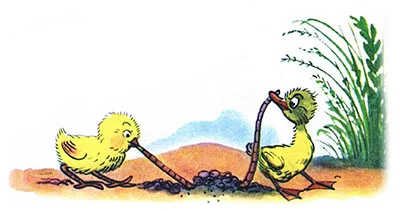 Цыпленок и утенок, фото 5