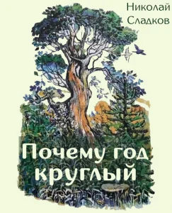 Почему год круглый