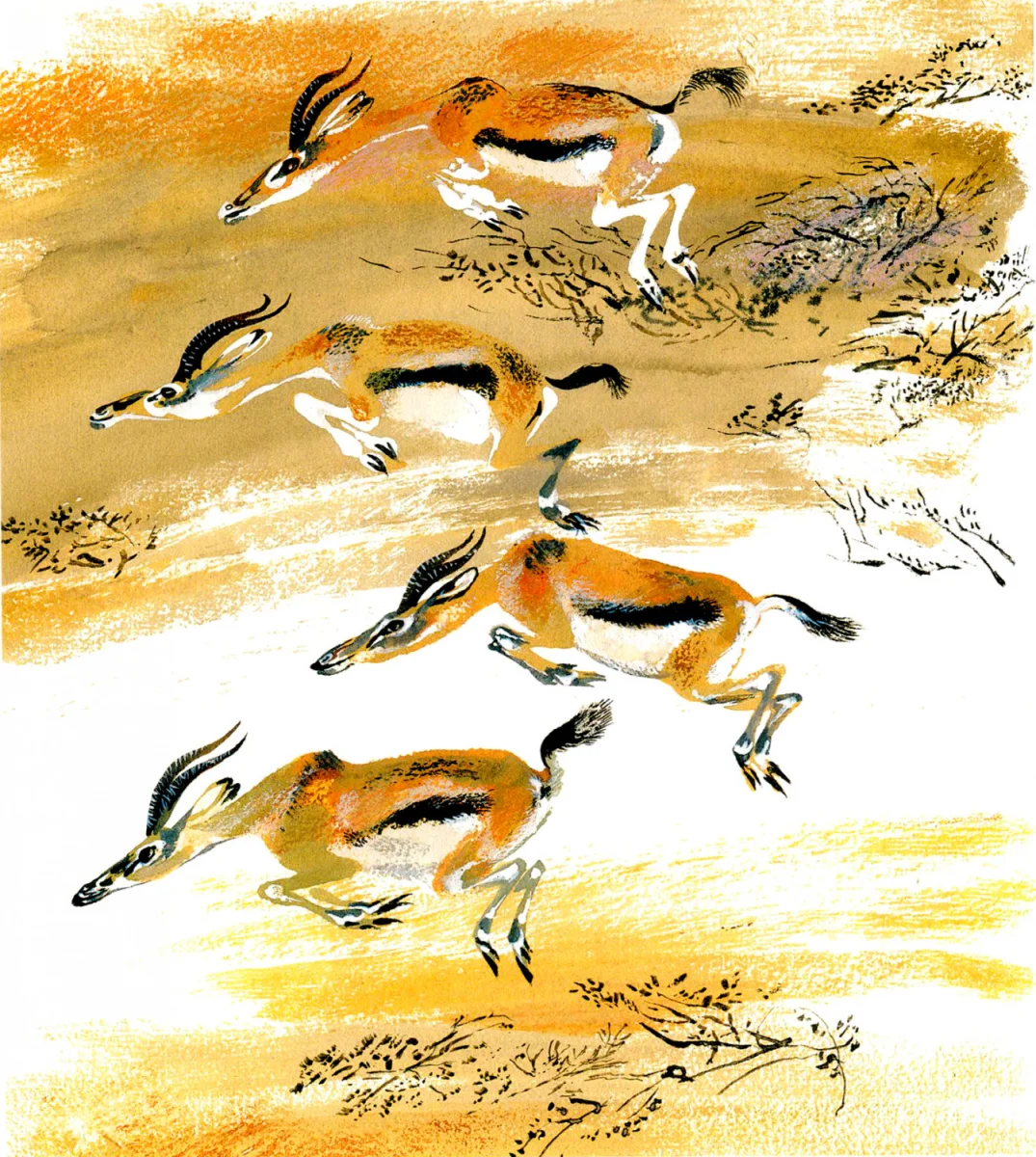 Антилопы бегут