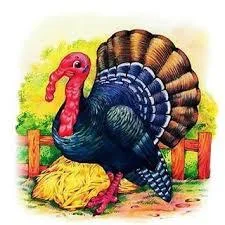 О чем Индюк думал