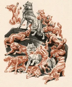 Рыжие собаки