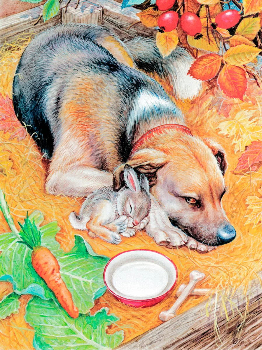 Зайчонок спит рядом с собакой