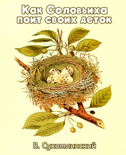 Как Соловьиха поит своих деток