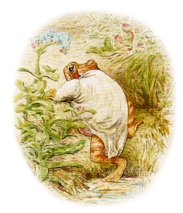 Лягушонок выползает из воды