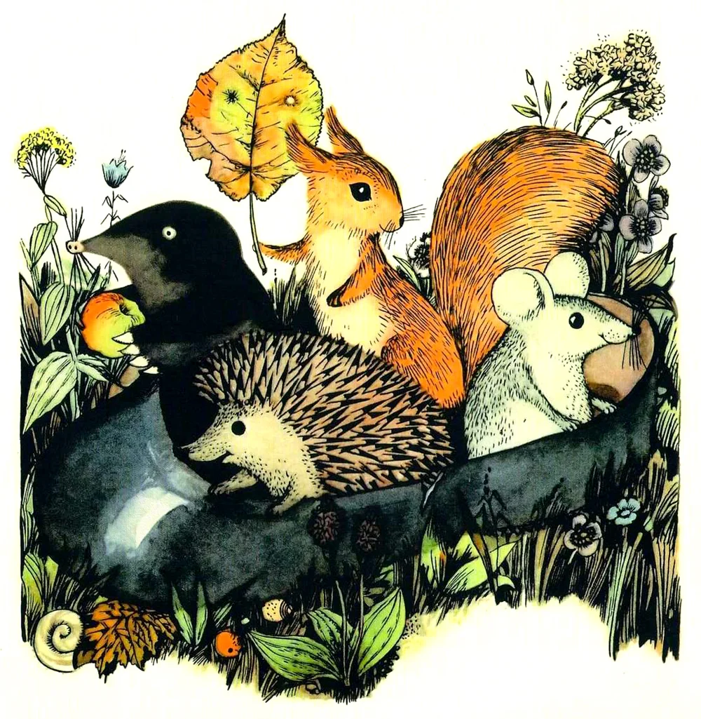 Зверята в галоше