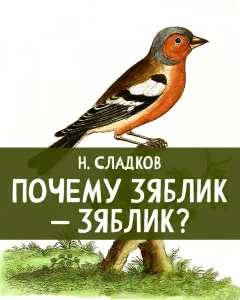 Почему зяблик – зяблик?