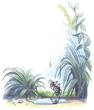 Сказка под грибом, фото 12