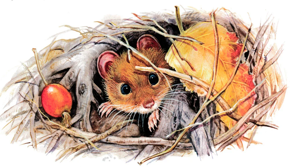 Мышонок спрятался с ветках