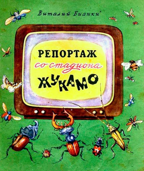 Репортаж со стадиона Жукамо