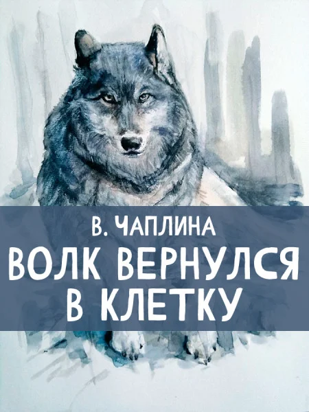 Волк вернулся в клетку