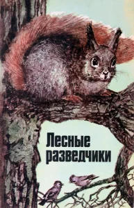 Лесные разведчики