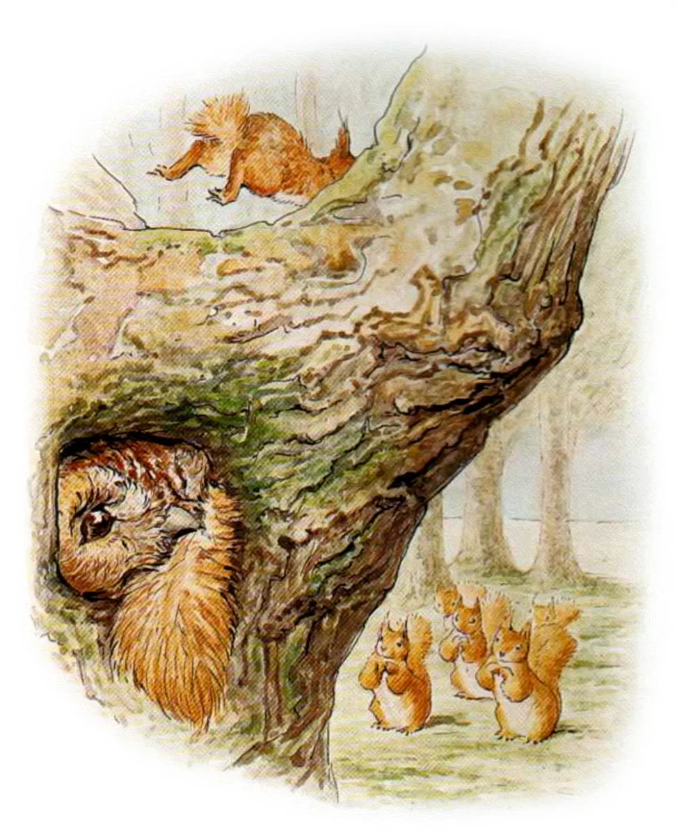 Бельчонок убегает от Филина