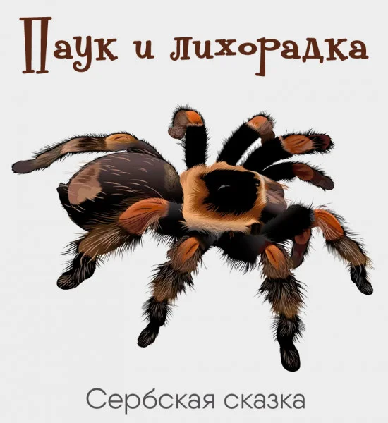 Паук и лихорадка