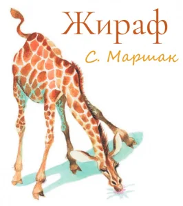 Жираф