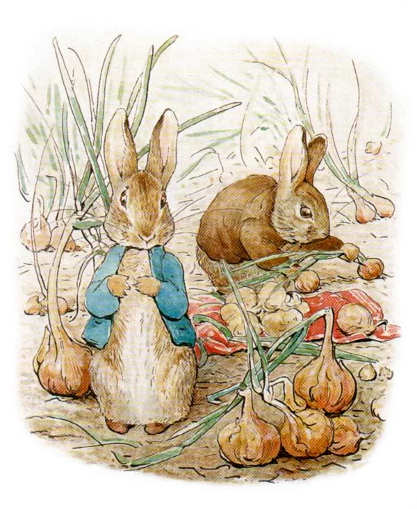 Кролики среди лука