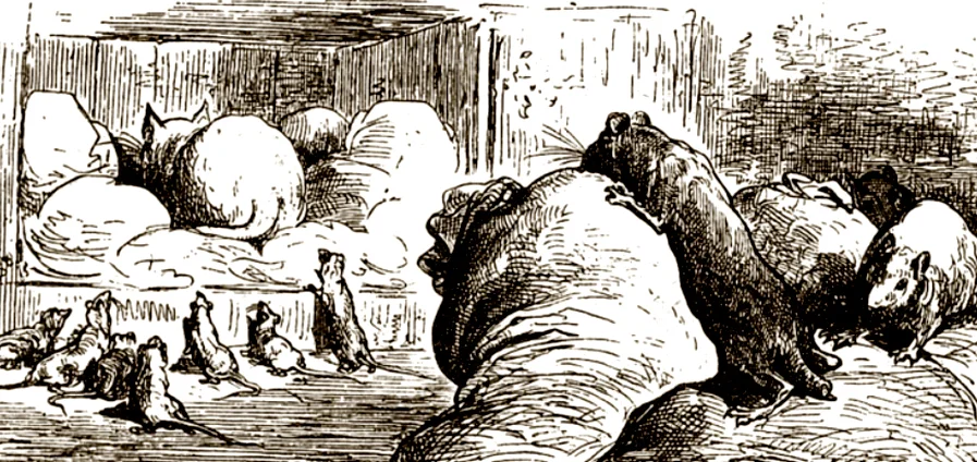 Крысы и кошка