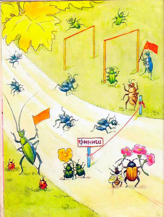 Жуки бегуны