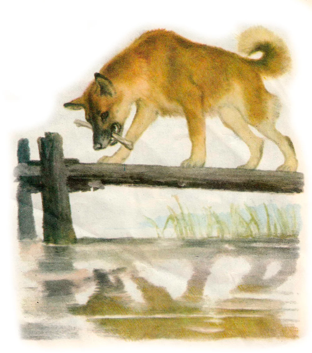 Собака с костью