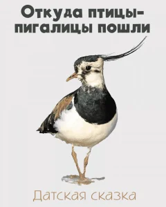 Откуда птицы-пигалицы пошли