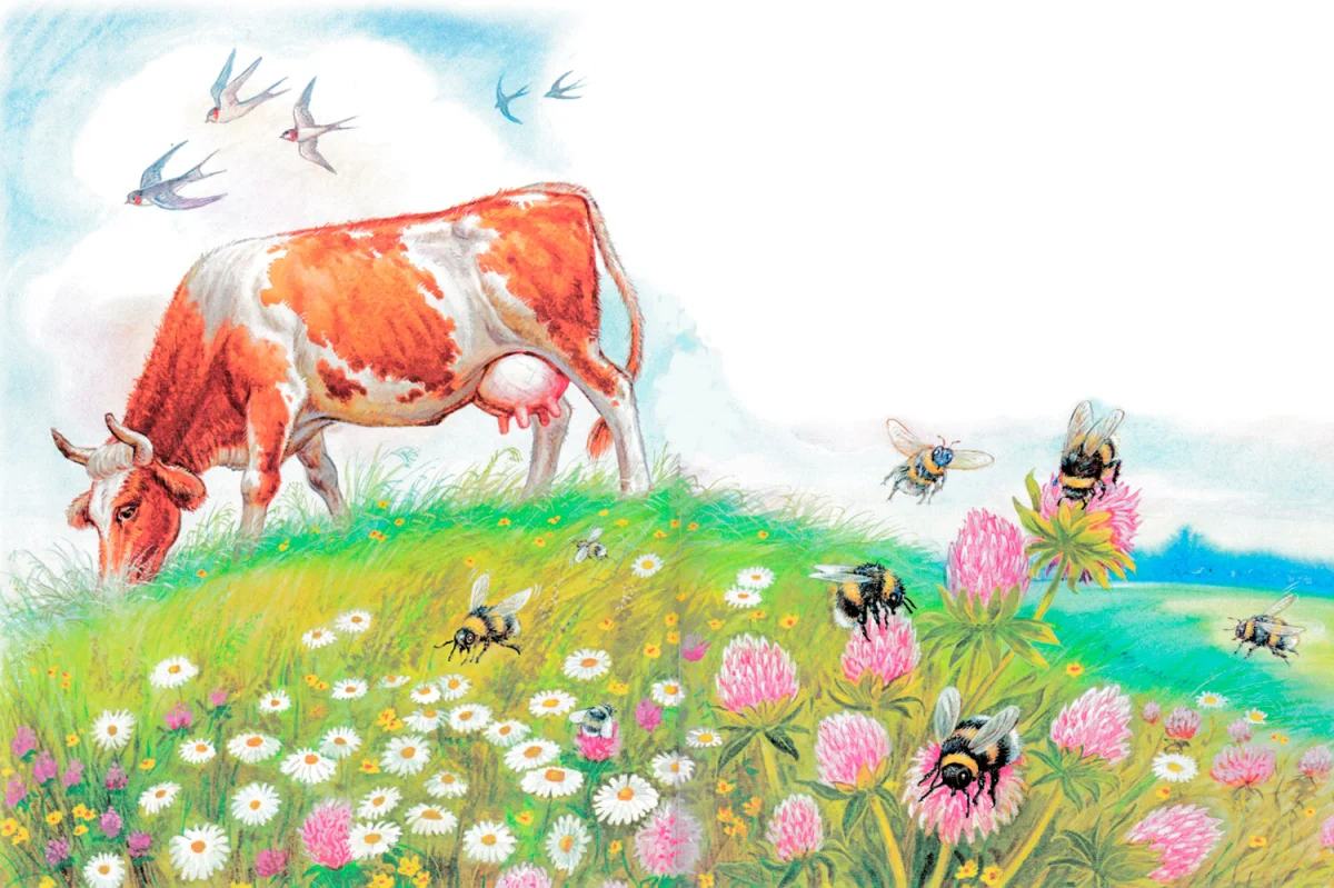 Корова пасется на лугу