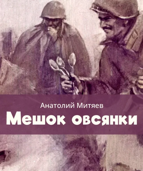 Мешок овсянки